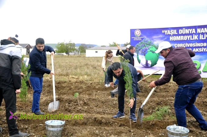 Ağstafada ağacəkmə aksiyası keçirilib