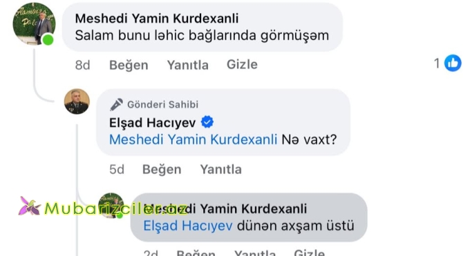 Yazdığı rəylə aylardır axtarılan qadın tapıldı