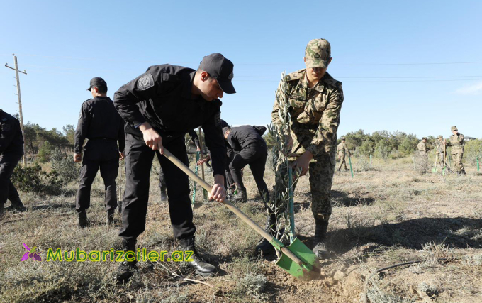 Zəfər Günü ilə əlaqədar DİN əməkdaşları ağacəkmə kampaniyası keçirdi