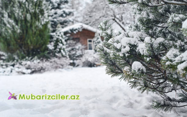 Rayonlara qar yağacaq