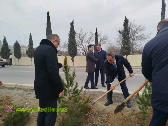 Goranboyda ağacəkmə aksiyası keçirilib