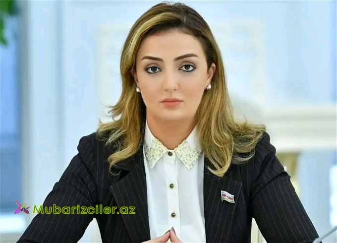 “Azərbaycana qarşı məqsədli şəkildə dezinformasiya hücumları təşkil edilir”