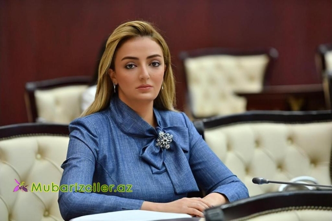 Azərbaycan Avropanın enerji və logistika təhlükəsizliyinə töhfə verir