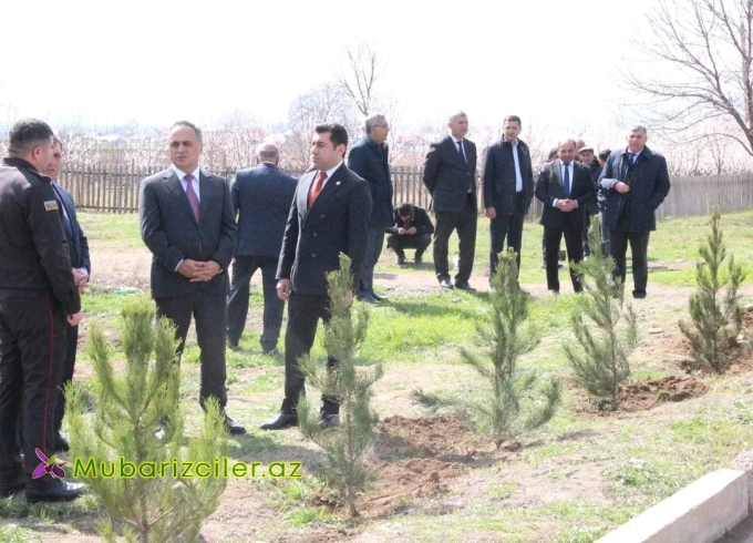 Goranboyda ağacəkmə aksiyası keçirilib