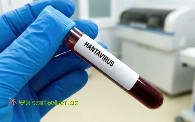 Hantavirus insandan insana nadir halda keçir