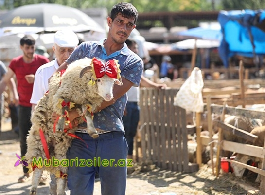 Qurban bayramı ilə bağlı fətva verildi