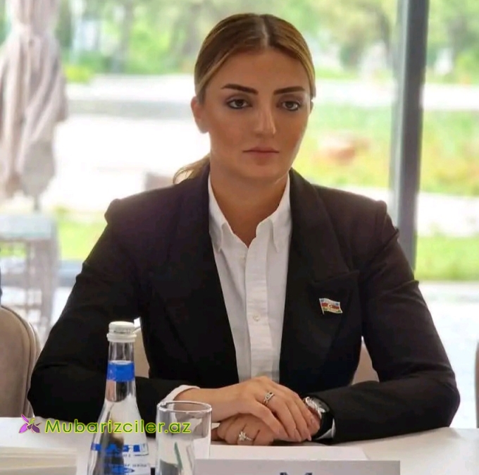 “AŞPA-nın qərarları siyasi revanşizm və qisas cəhdləri ilə bağlıdır”