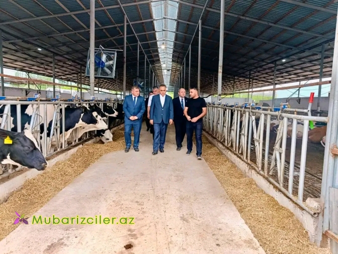 Goranboyda növbəti heyvandarlıq təsərrüfatına baxış keçirildi