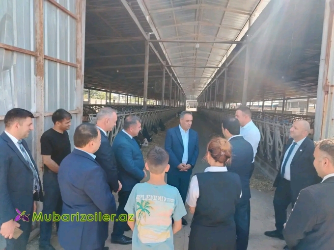 Goranboyun İcra başçısı “Türk Qida Sənaye” MMC-yə məxsus heyvandarlıq kompleksində oldu