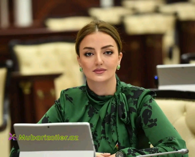 “Aİ etibarlı tərəfdaş kimi Azərbaycanla əməkdaşlığın dərinləşməsində maraqlıdır”
