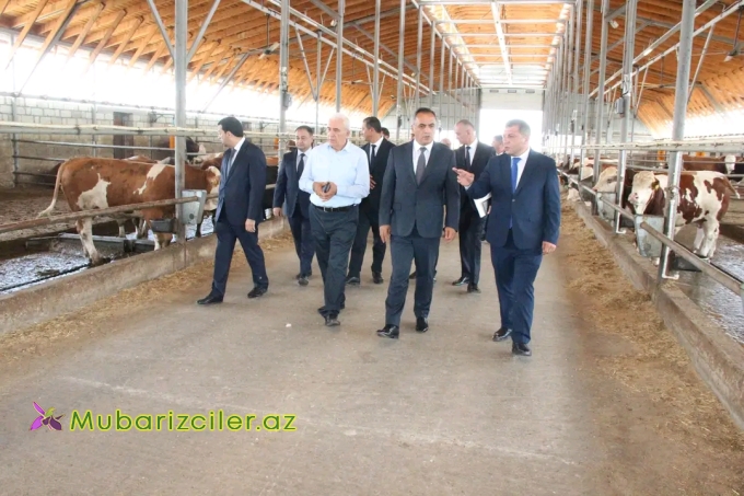 Goranboyda heyvandarlıq təsərrüfatlarına baxış davam etdirilir