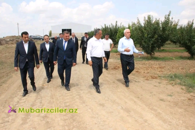 Goranboyun İcra başçısı Məhərrəm Quliyev rayonun Veyisli kəndində fermer Kərimov Kamal Cəlal oğluna məxsus intensiv bağçılıq təsərrüfatına baxış keçirdib