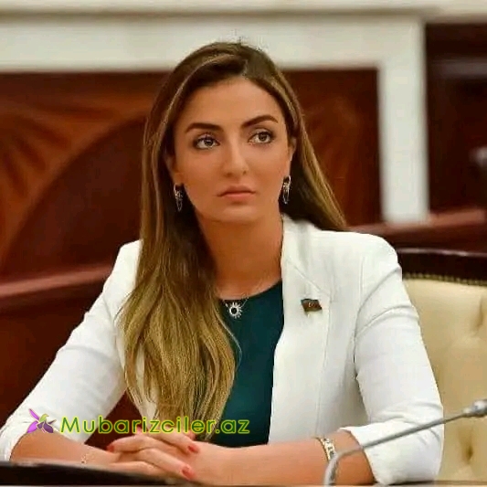 “Güclü media etibarlı informasiya təminatını həyata keçirən vacib institutdur”