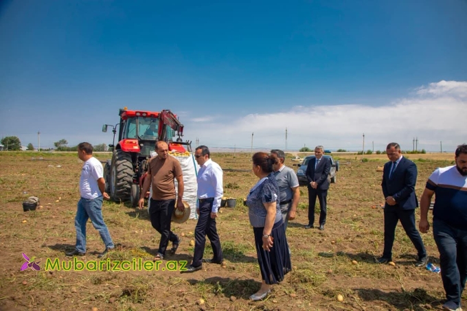 Rəşad Tağıyev kartofçuluqla məşğul olan bir sıra təsərrüfatlarda olub, əkin sahələrinə baxış keçirib və fermerlərlə görüşüb
