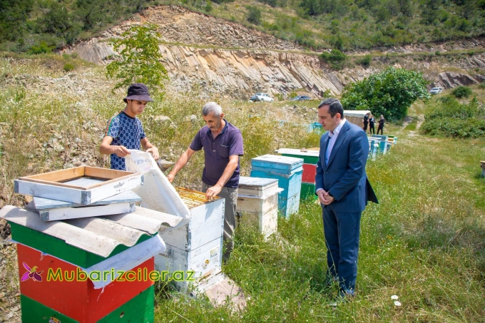 Rəşad Tağıyev rayonda fəaliyyət göstərən arıçılıq təsərrüfatlarına baxış leçirdib