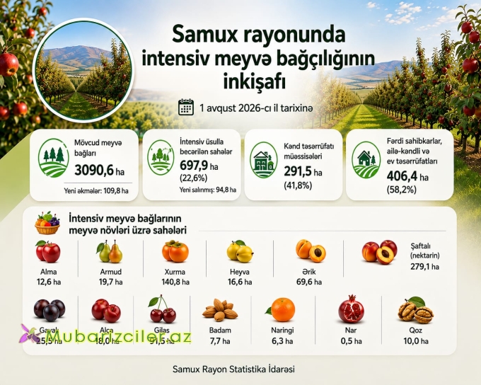 Samux rayonunda intensiv meyvə bağlarının sahəsi genişlənir