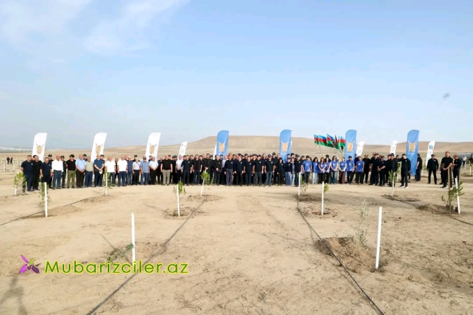 Prokurorluq əməkdaşları ağacəkmə kampaniyası keçirib
