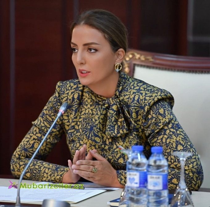 ”İrəvanın siyasi və media dairələri hələ də yeni reallığı qəbul etmək istəmir”