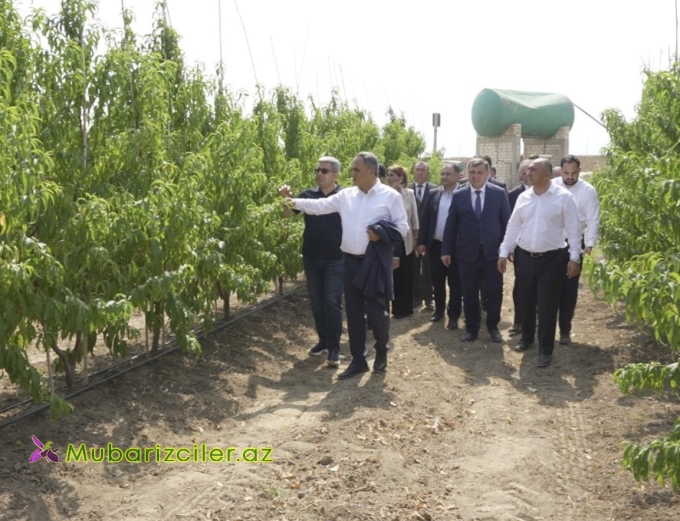 Goranboyda kənd təsərrüfatı ilə bağlı layihələrə baxış keçirildi