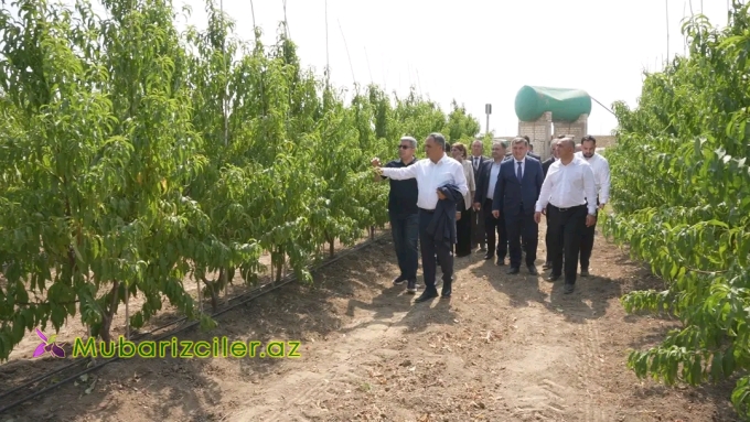 Goranboyda Dövlət Proqramından irəli gələn məsələlərin uğurla icrası davam edir